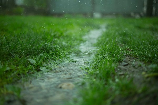 Quels sont les avantages des systèmes de captage de pluie pour les jardins communautaires en milieu urbain ?