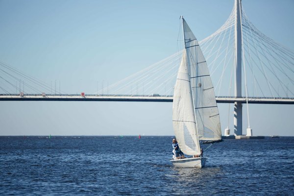 Comment organiser un voyage responsable et respectueux de l'environnement ?