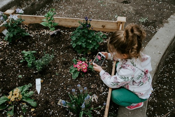 Comment créer un mini potager vertical pour appartements sans balcon ?