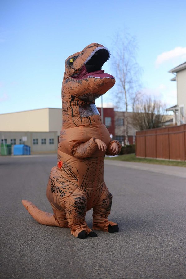 Déguisement gonflable vs traditionnel : lequel choisir ?