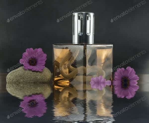 Quel est l’impact culturel et olfactif du parfum Oud dans l’art de la fragrance ?